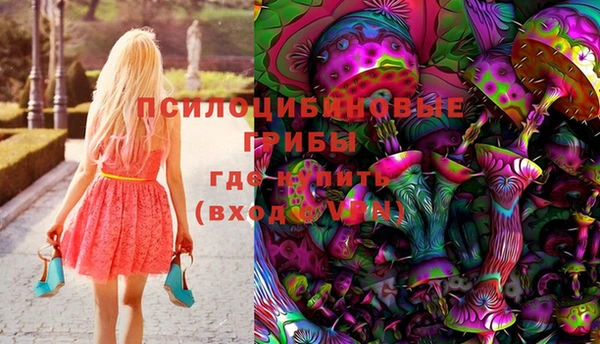 кокс Алзамай