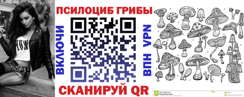 KRAKEN tor  Каменск-Уральский  Галлюциногенные грибы Psilocybine cubensis 