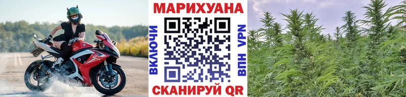 купить закладку  Каменск-Уральский  Марихуана индика 